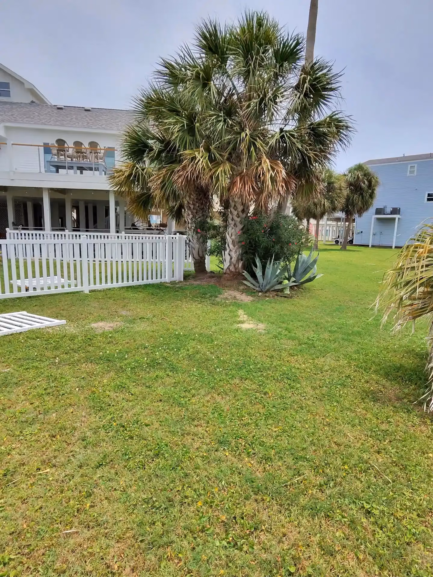 A white picket fence encloses a coastal yard shaded by palm trees beside a raised beach house in Houston, TX.
