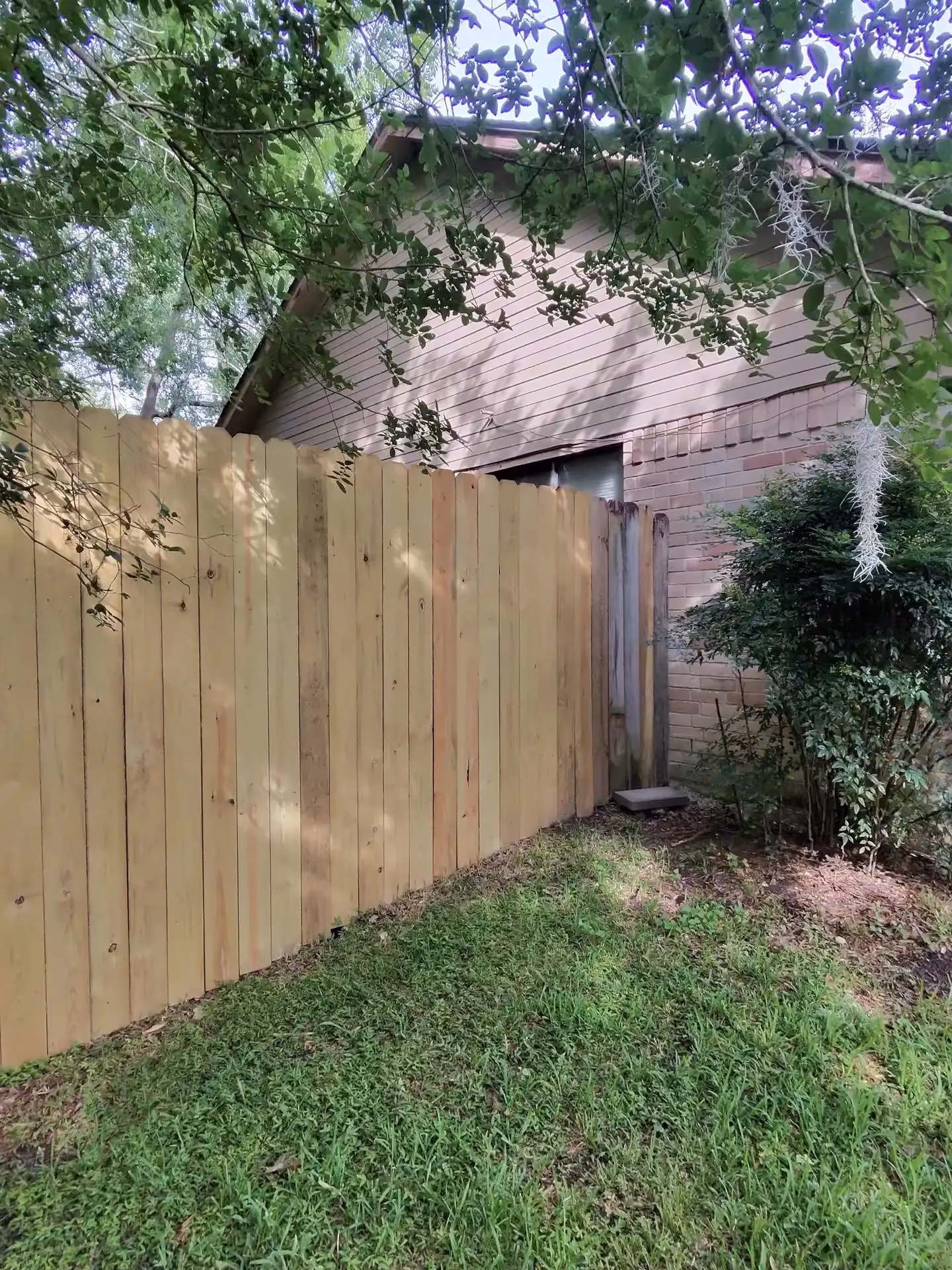 A new cedar wood privacy fence encloses a backyard beneath a large shade tree in Houston, TX.
