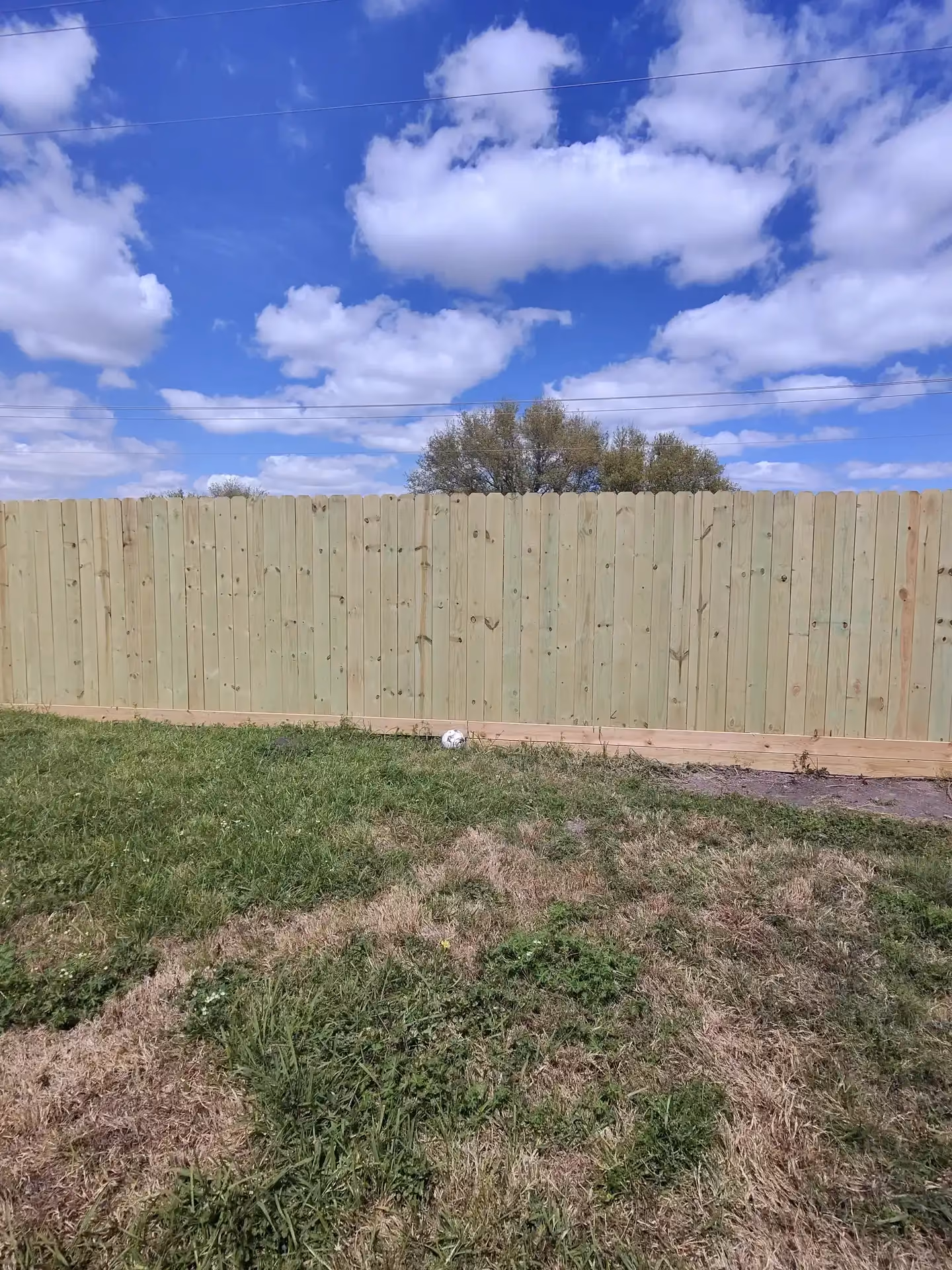 A freshly built pressure-treated wood privacy fence lining a backyard beneath a canopy of oak trees in Houston, TX.