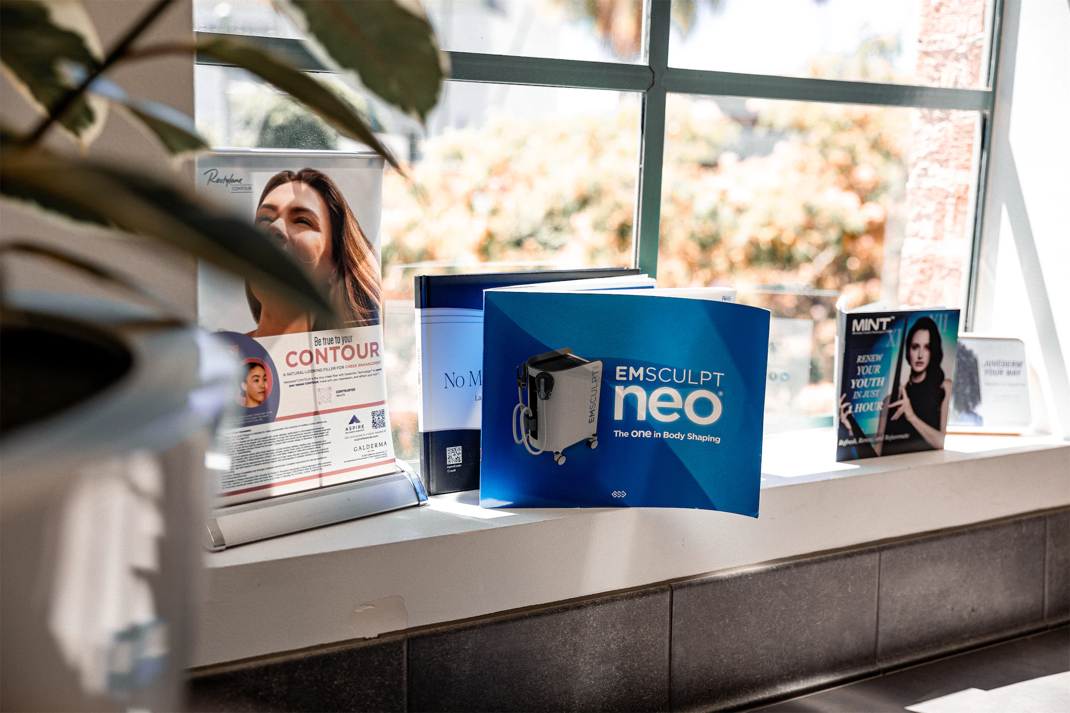 Treatment brochures, including Emsculpt Neo, displayed along a sunny windowsill