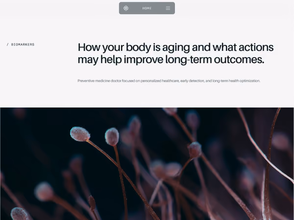 Close-up of soft, fuzzy plant stems on dark background under text about aging and health outcomes.