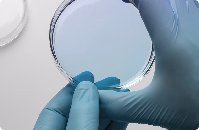 Gloved hands holding a clear petri dish in a laboratory setting.