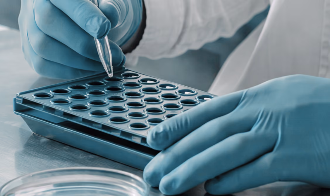 Lab technician wearing gloves using a pipette to add liquid to a multi-well plate.