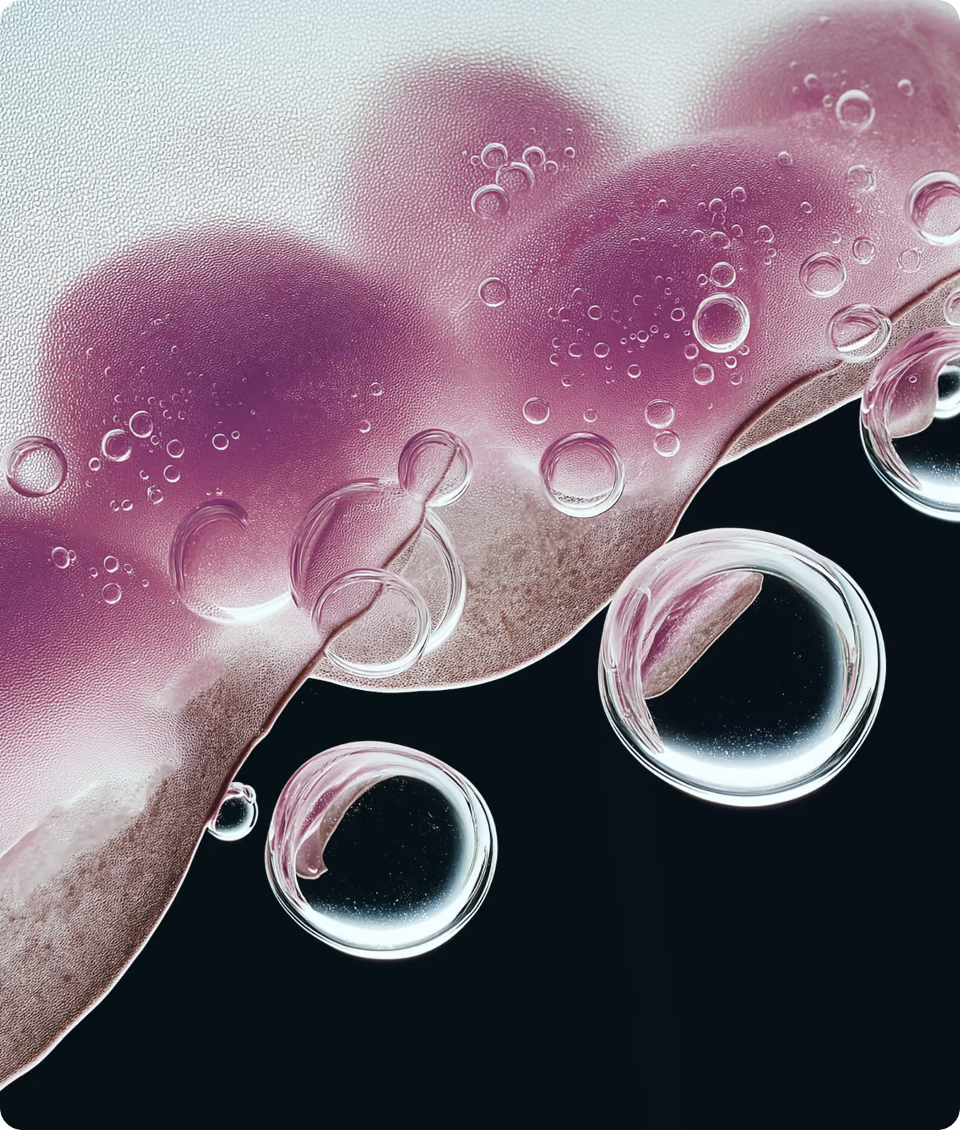 Close-up of translucent purple bubbles and clear spheres against a black background.