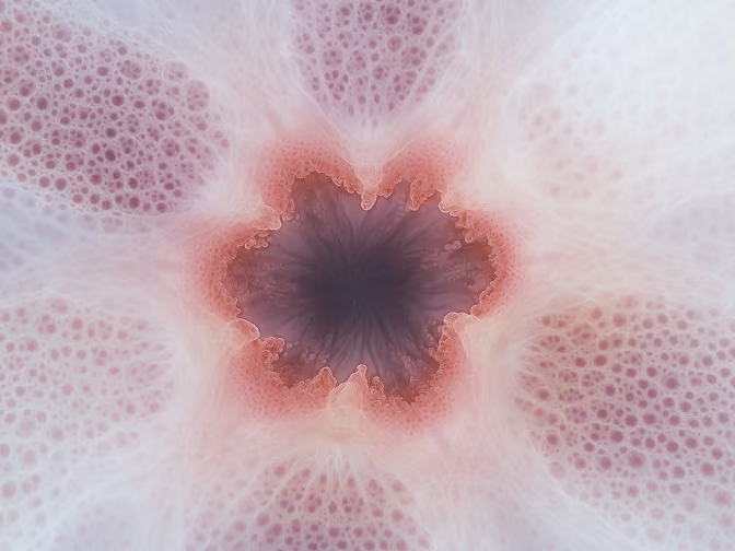 Close-up of a star-shaped pattern with pinkish and purple hues and a porous texture.