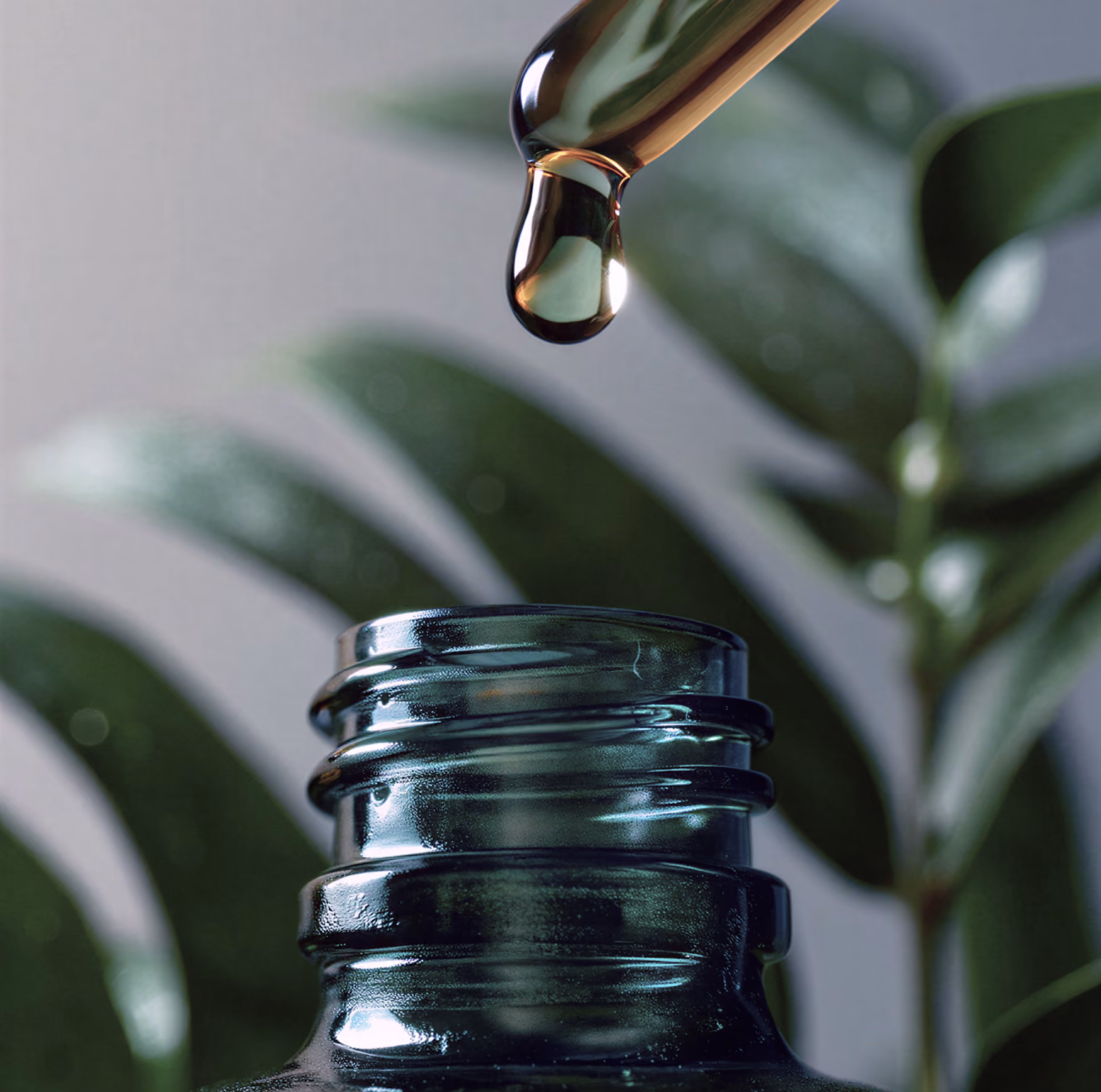 Dropper releasing liquid into an open dark glass bottle with green leaves blurred in the background.