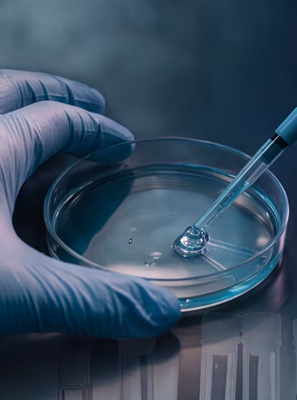 Gloved hand holding a petri dish with a dropper releasing liquid into it.