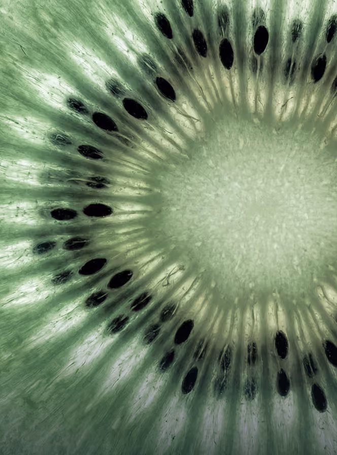 Close-up of a kiwi slice showing translucent green flesh and black seeds in a radial pattern.