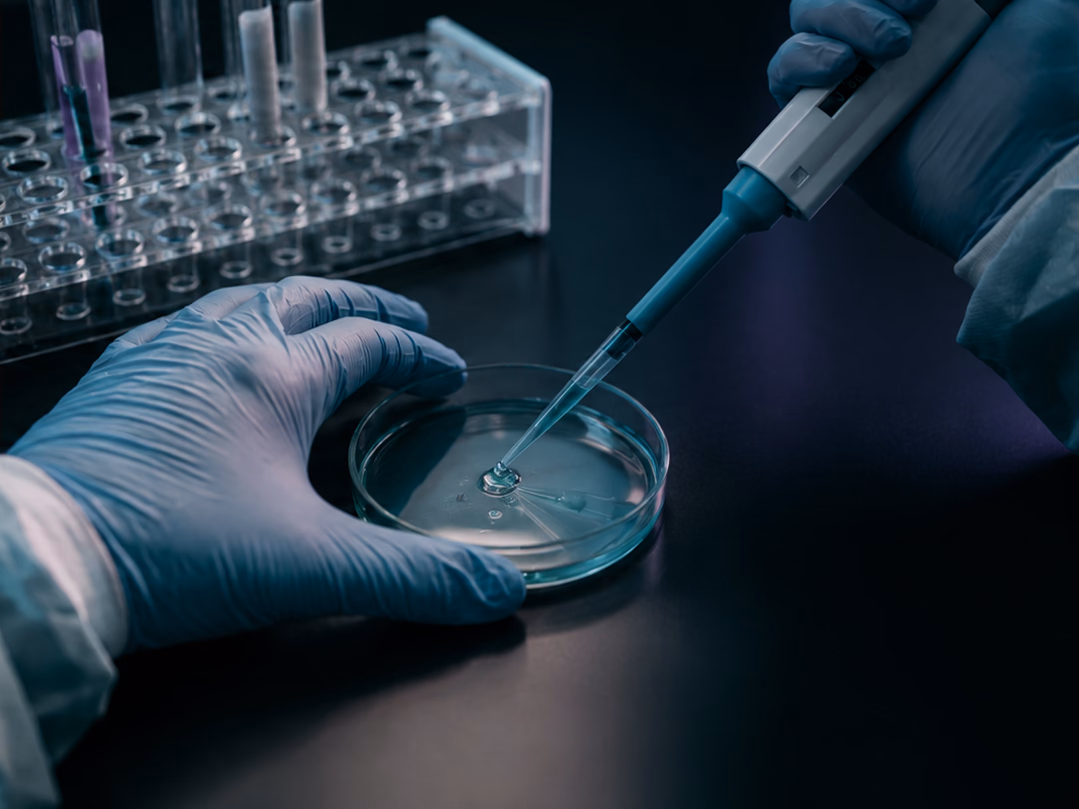 Gloved hands using a pipette to add liquid to a petri dish in a laboratory setting.