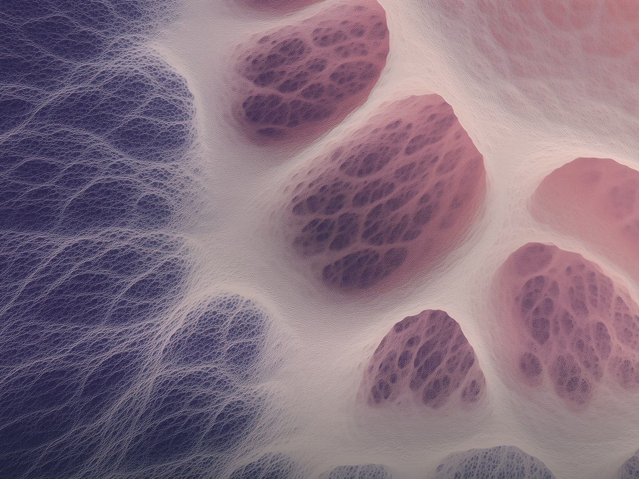 Close-up of delicate, web-like organic texture with purple and pink hues.