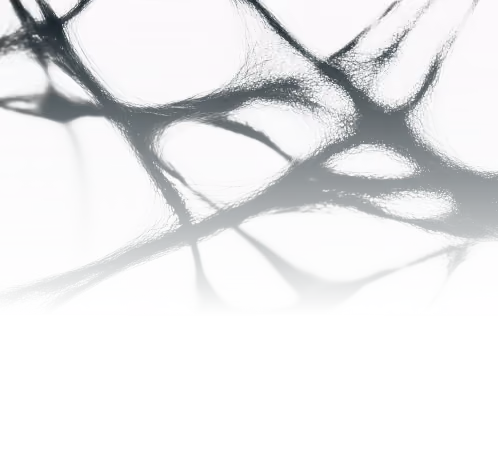 Close-up of a tangled black spider web against a white background.