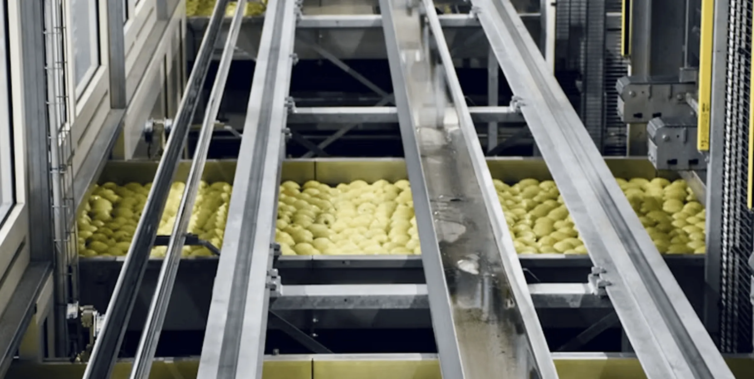 Produce moving along a processing line