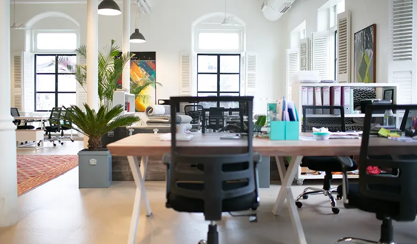 An open-plan office with desks and plants