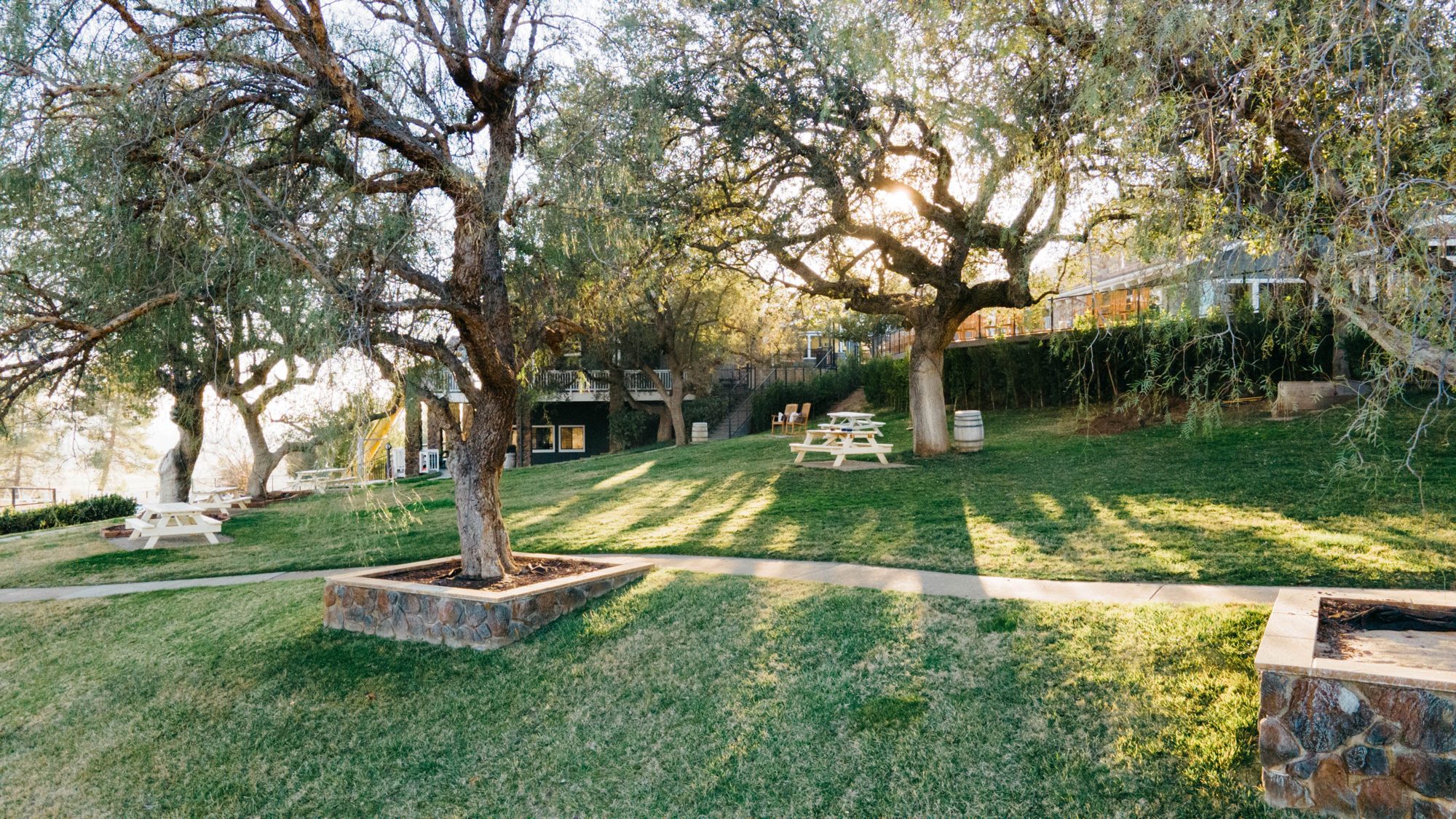 Oak trees over the lawn at The Oaks retreat center