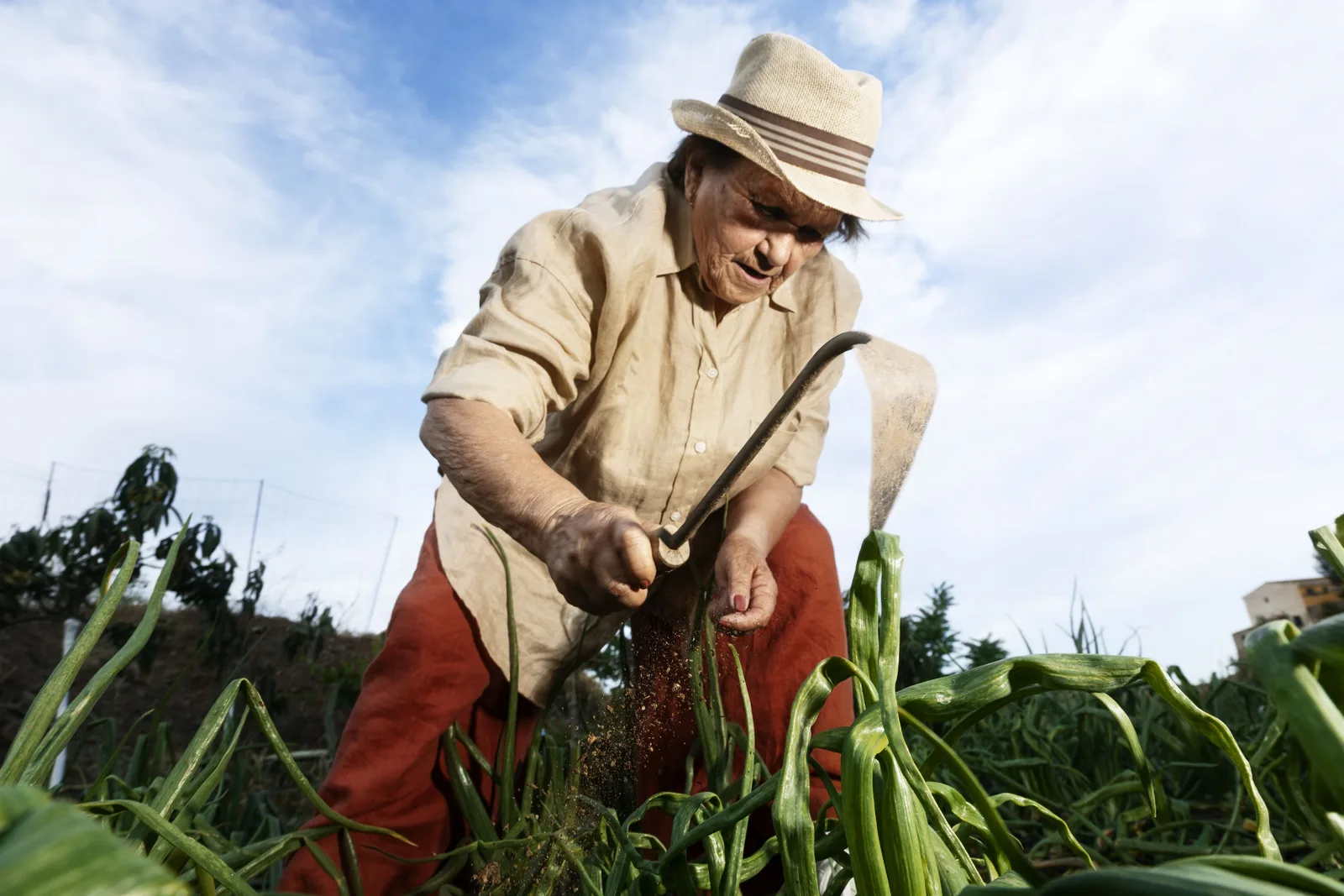 Agricultora trabajando en el campo, representando cómo vozy.ia puede apoyar la automatización de atención y comunicación en sectores rurales y agroindustriales.