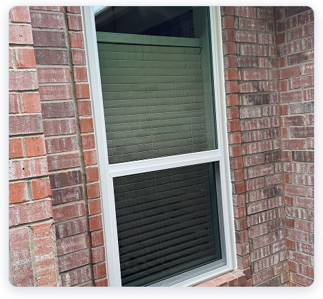 Paragon Windows project photo