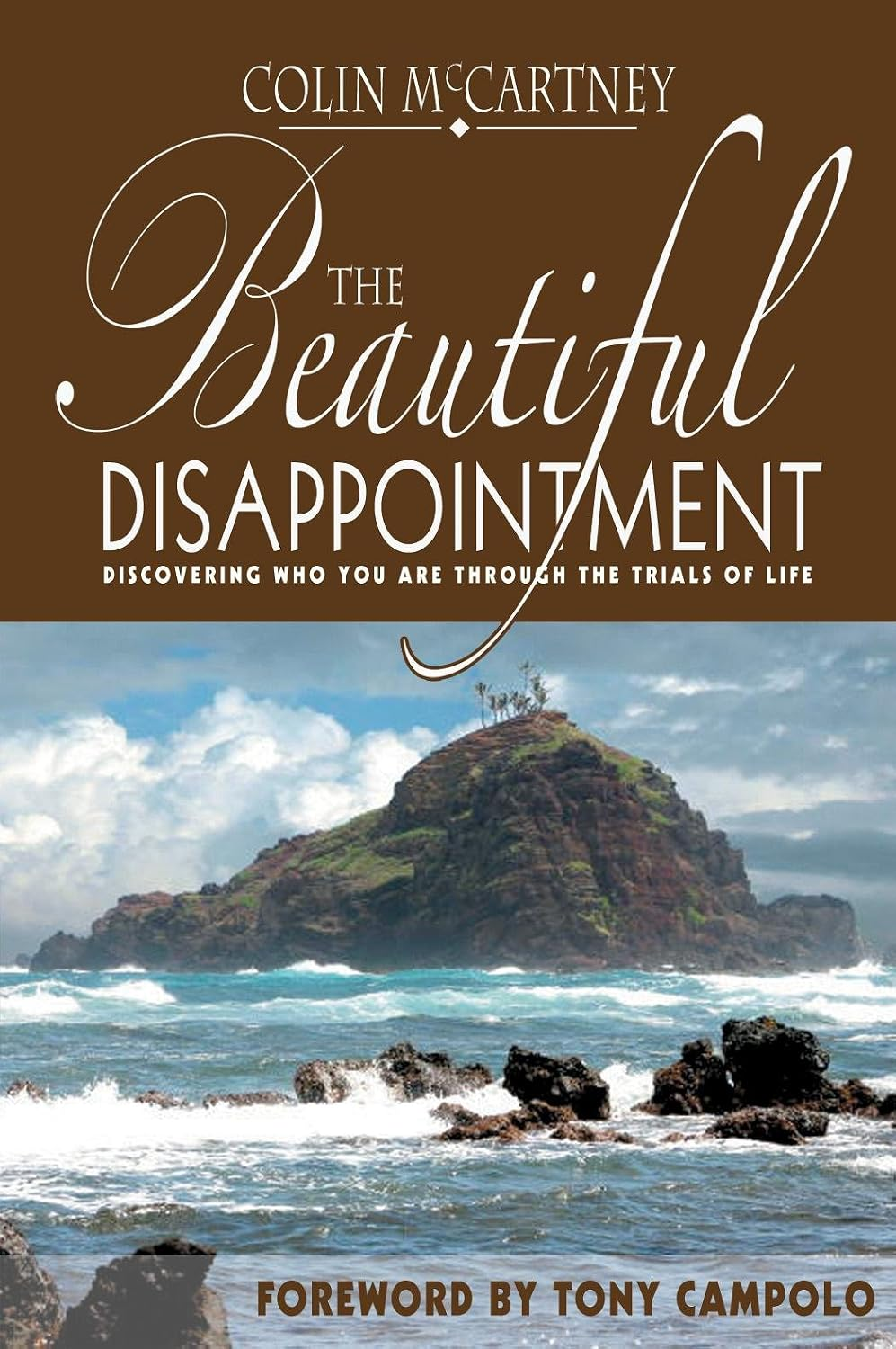 The Beautiful Disappointment book cover