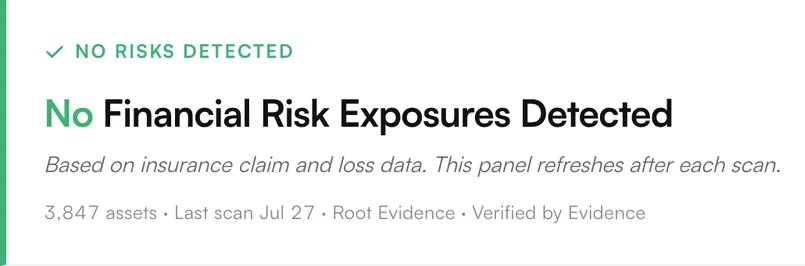 Evidence Scan reporting zero Financial Risk Exposures detected