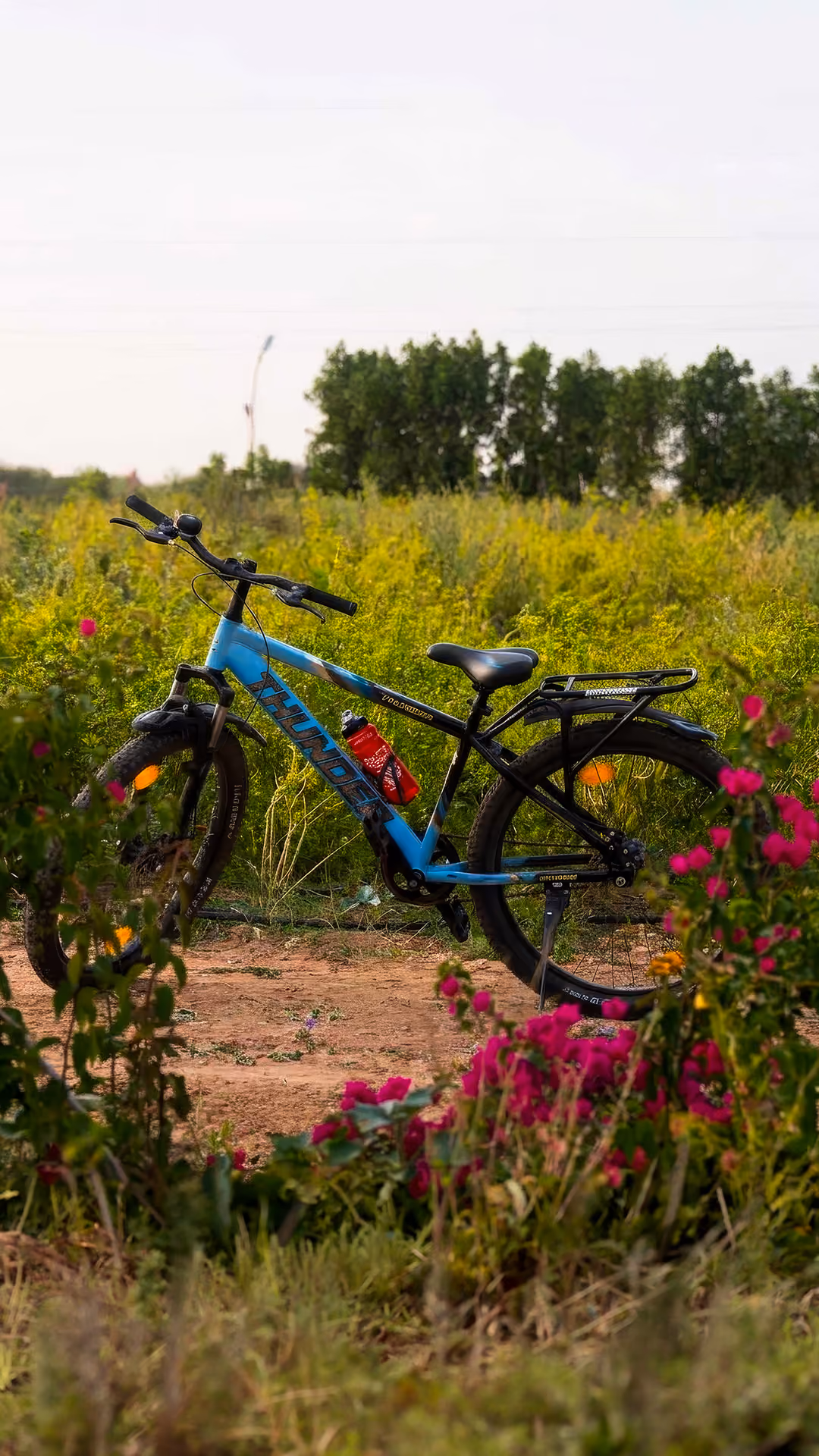 Blue mountain bike with a red water bottle parked on a dirt path amid green plants and pink flowers.