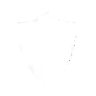 revenue icon