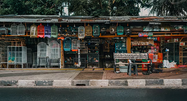 Pet Supply Stores