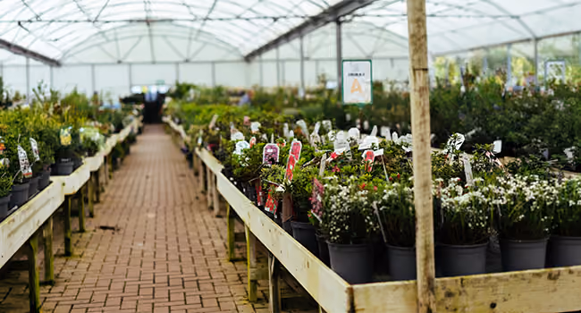 Garden Centers & Nurseries