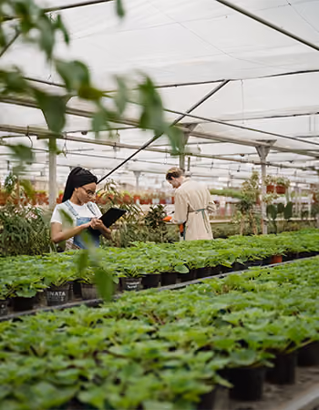 Garden Centers & Nurseries
