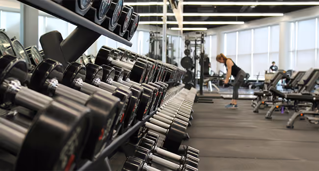 Gyms & Fitness Centers