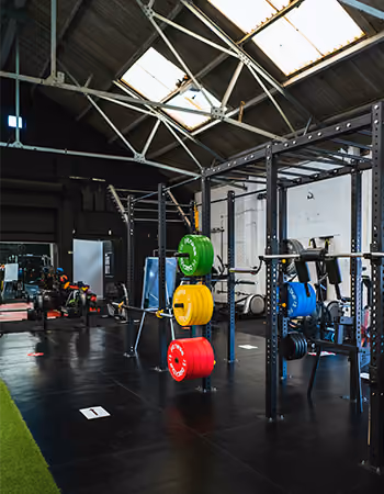 Gyms & Fitness Centers