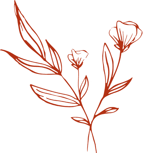 Silhouette of a red flower with multiple petals and a stem.
