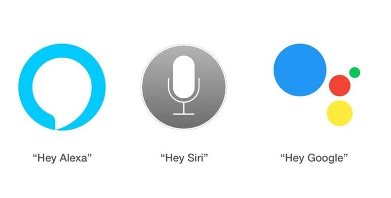 ricerche vocali alexa siri google seo ricerche vicino a me