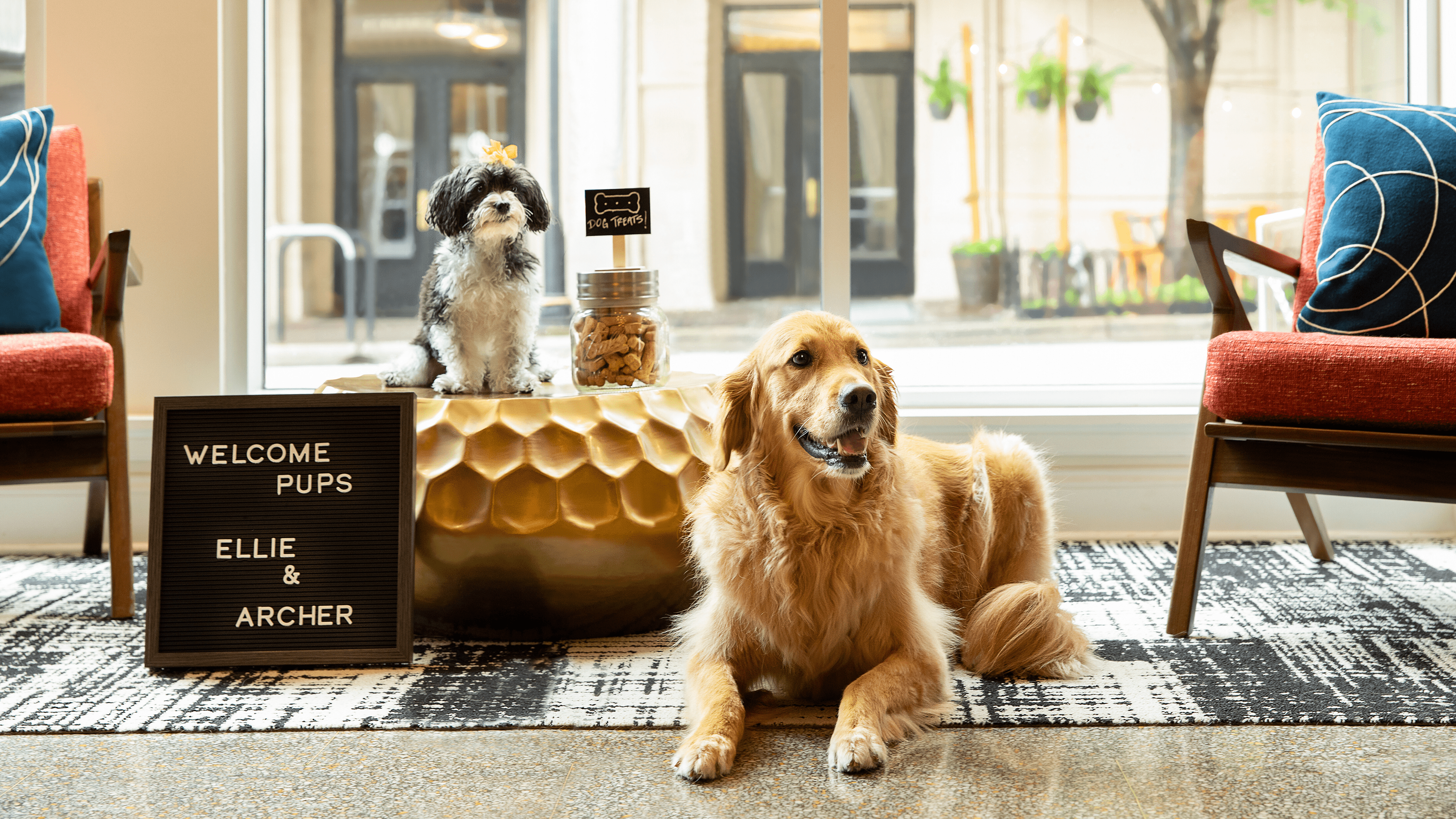 hotel che accettano animali domestici