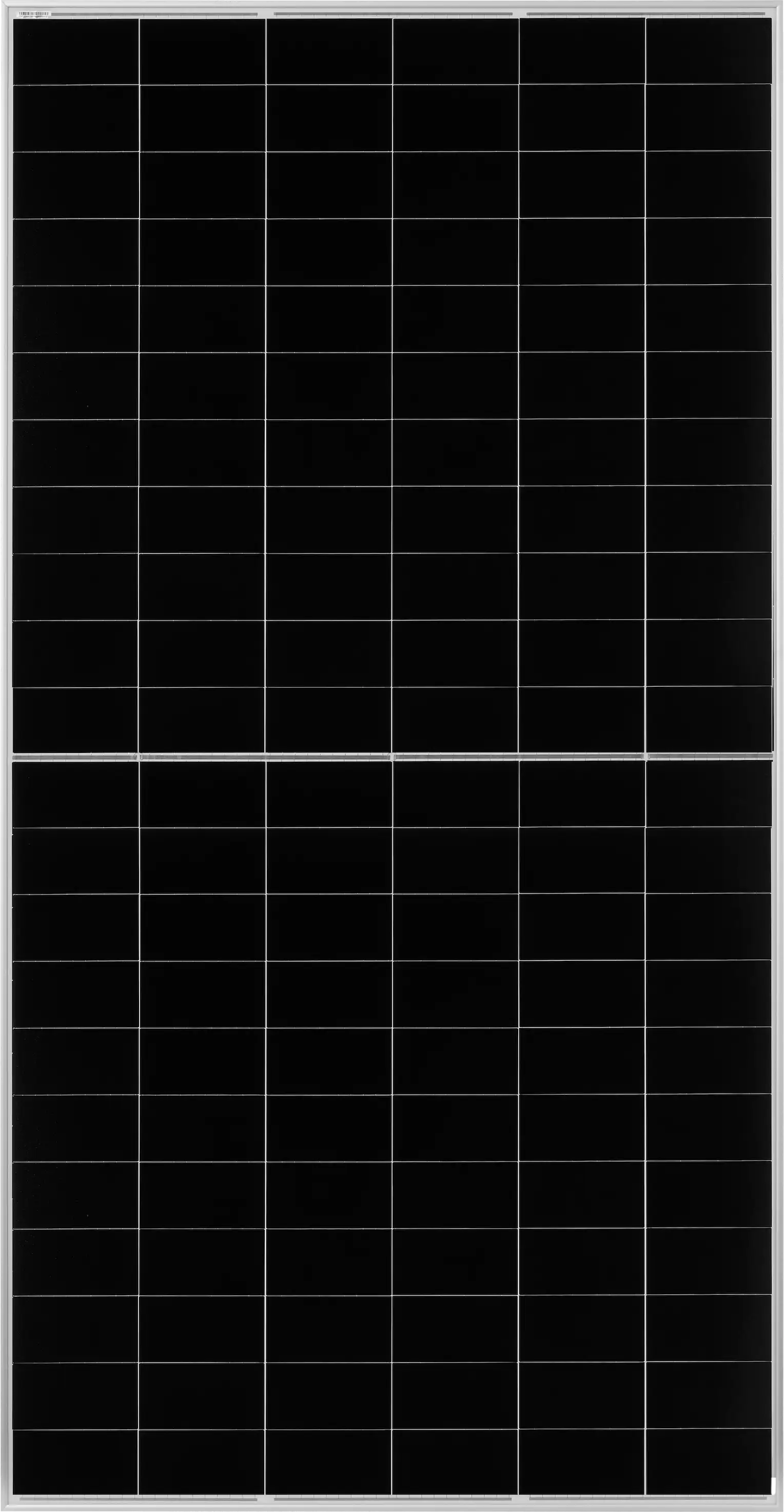 TCL back contact solar module