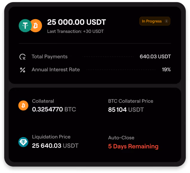 Crypto loan details showing 25000 USDT loan with BTC collateral, 19% interest, and 5 days to auto-close.