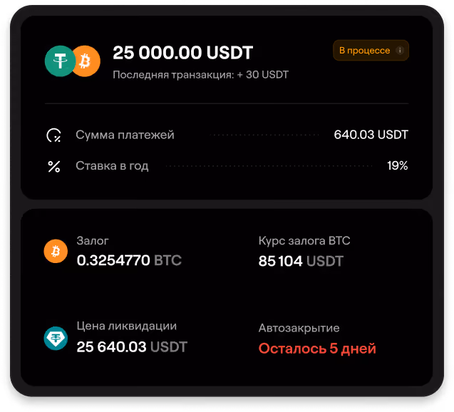 Crypto loan details showing 25000 USDT loan with BTC collateral, 19% interest, and 5 days to auto-close.