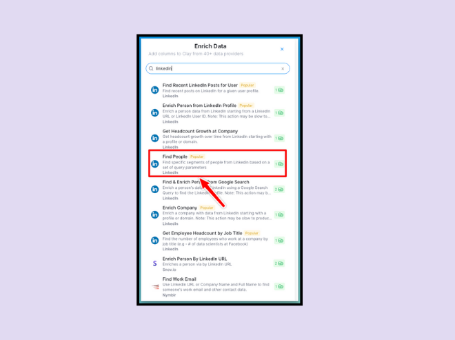 Learning how to generate B2B leads from Clutch? Use LinkedIn enrichment options.
