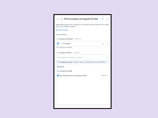 Find Company Instagram Profiles by Setting up Inputs