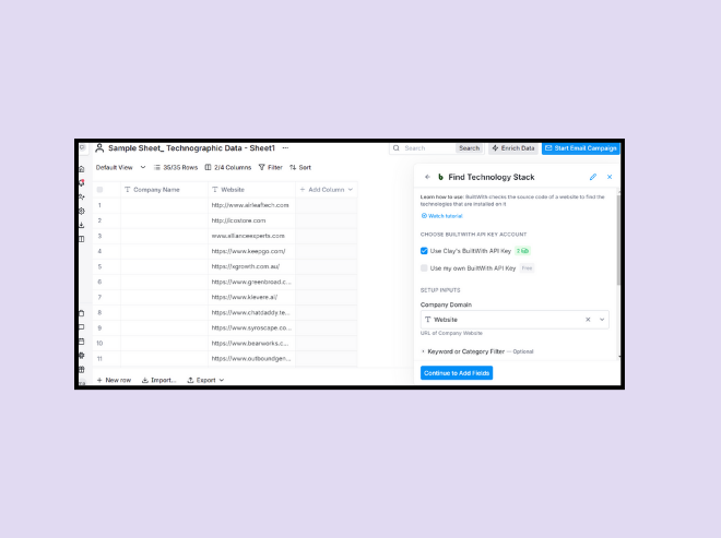 Use Clay's BuiltWith API key to find technographic data.