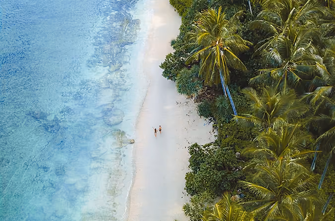 Aerial view of Lombok beach with turquoise water and palm trees