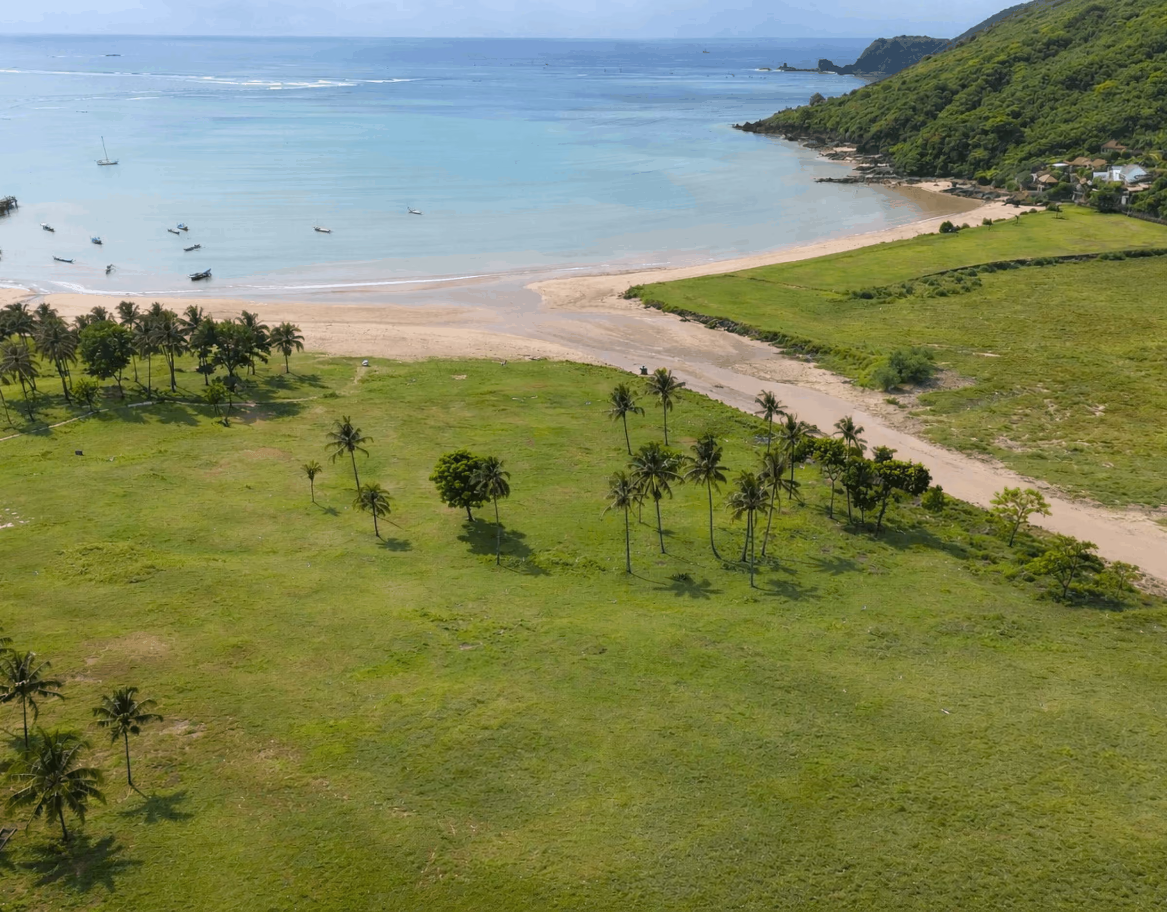 Aerial view of the Laga land with palm trees beside the beach in Kuta, Lombok