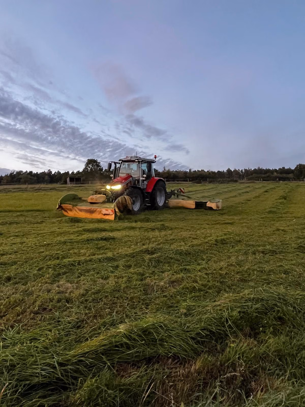Roter Traktor von Lohnunternehmen Gebr. Schade mäht Gras auf einem Feld bei bewölktem Himmel am Abend in Fritzlar, Schwalm-Eder-Kreis