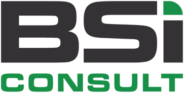 BSI Consult