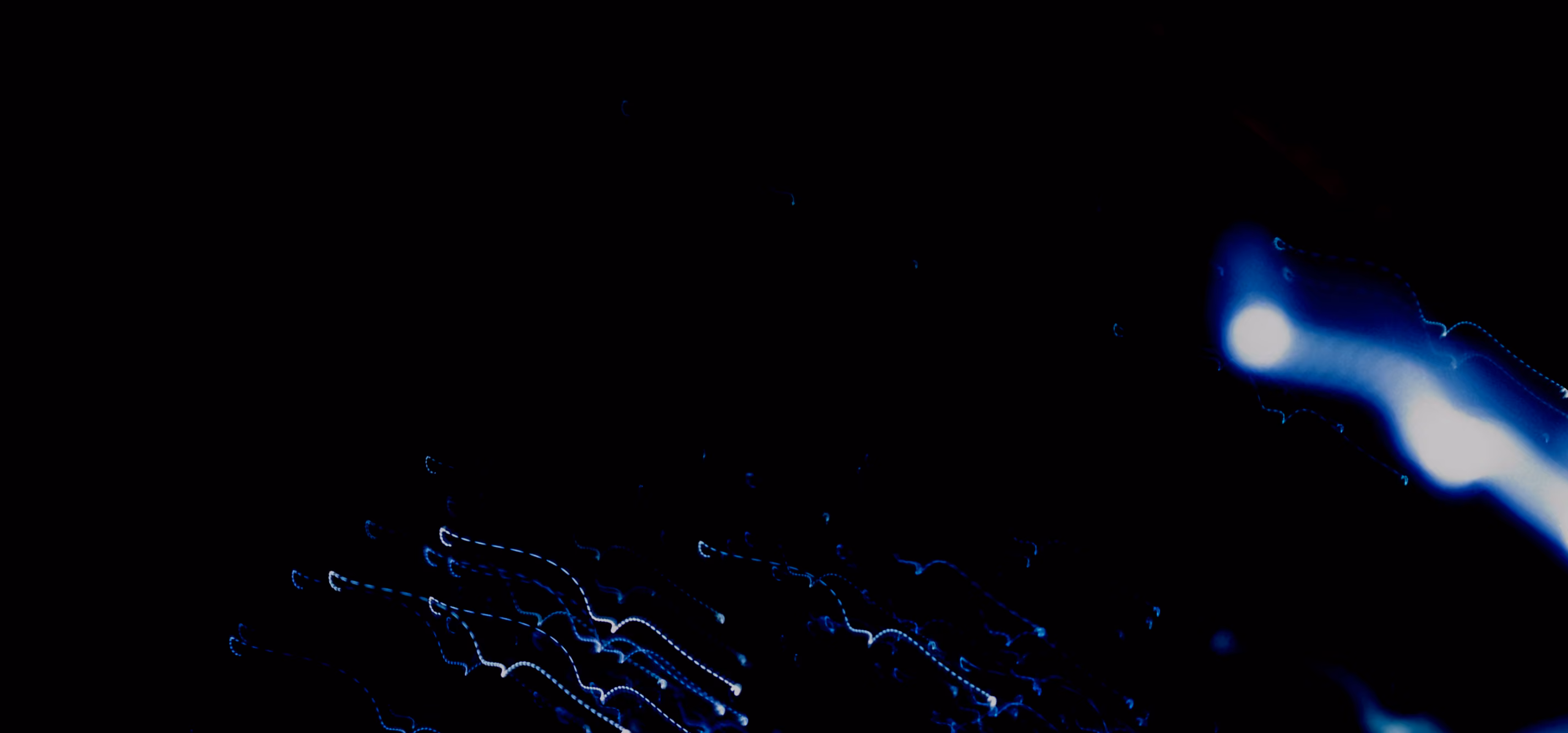 Blue light trails and dots on black background creating abstract glowing wave patterns.
