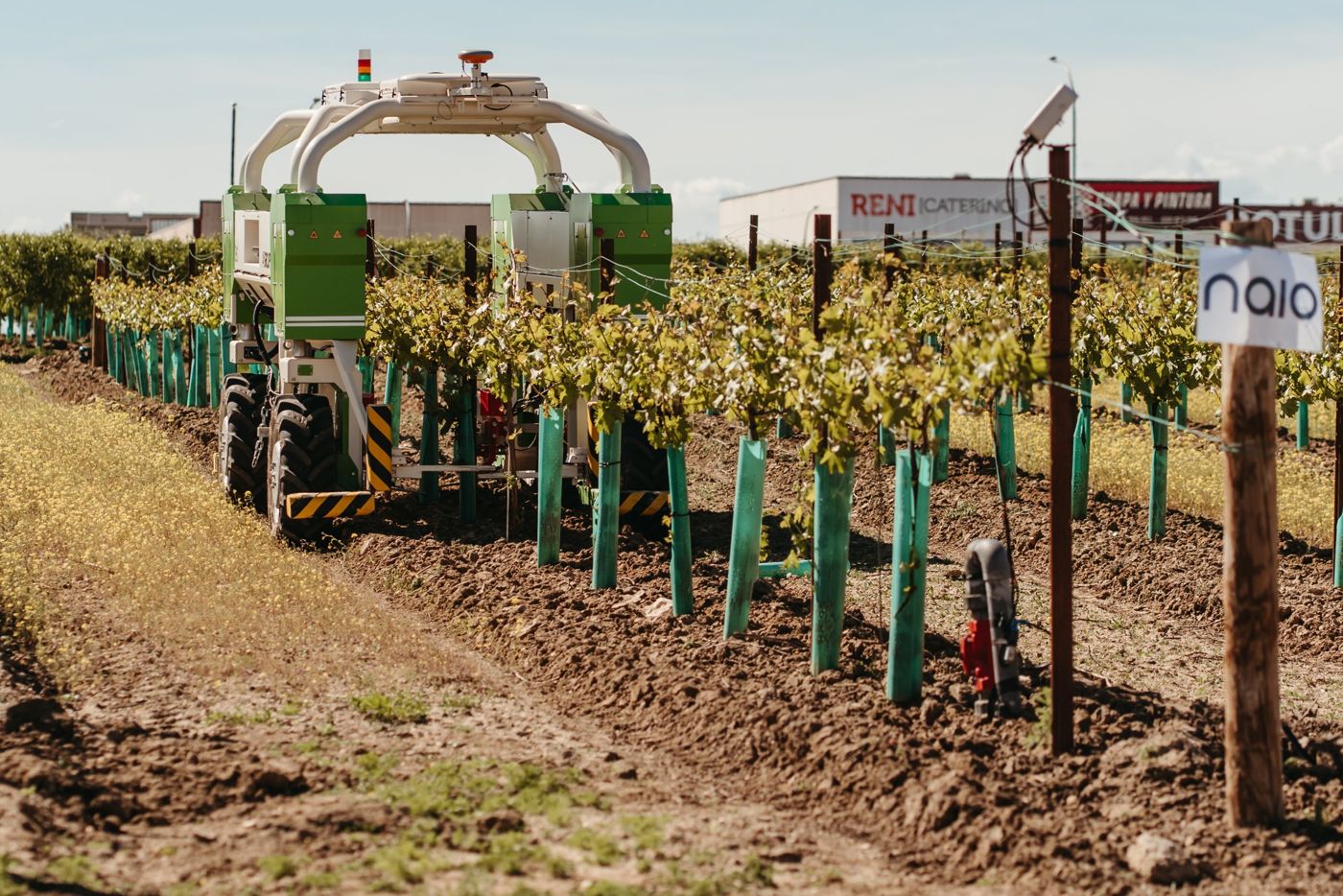 Autonomous vineyard robot with a GNSS antenna working between rows of vines