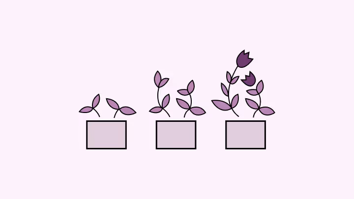 Illustration of three potted plants showing growth stages from small seedlings to taller flowering plants with purple leaves and flowers on a light pink background.