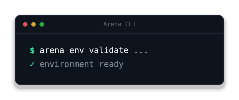 Arena CLI validating an environment