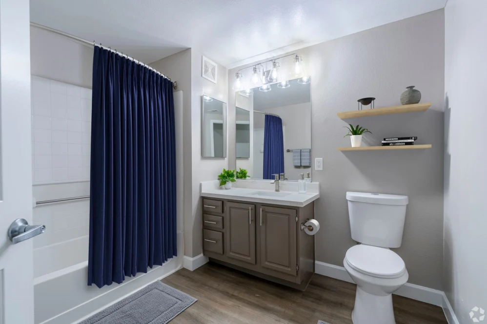 Bathroom with grey cabinets