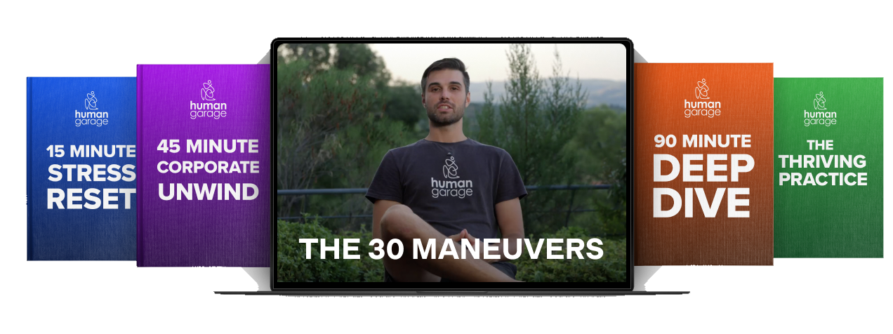 The 30 Maneuvers laptop and course book covers