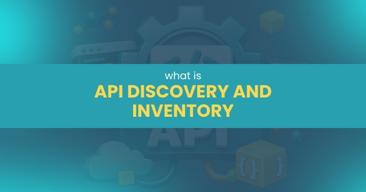What Is API Discovery and Inventory? Complete Guide