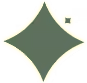 A green four-pointed star or diamond shape with curved edges on a pale yellow background.